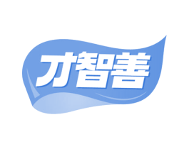才智善