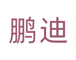 鹏迪