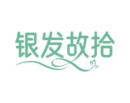 银发故拾