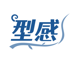 型感