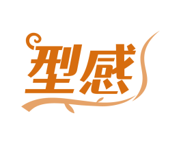 型感