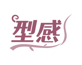 型感