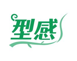 型感