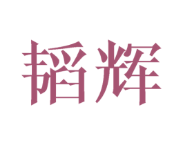 韬辉