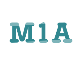M1A M1A