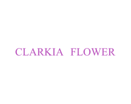 CLARKIA FLOWER