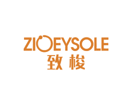致梭 ZIOEYSOLE