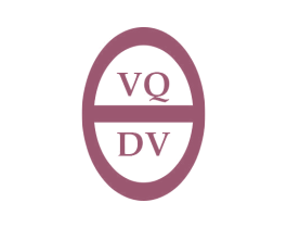 VQ DV