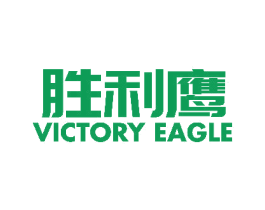 胜利鹰 VICTORY EAGLE