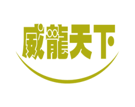 威龙天下
