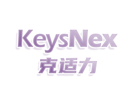 KEYSNEX 克适力