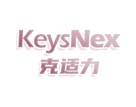 KEYSNEX 克适力