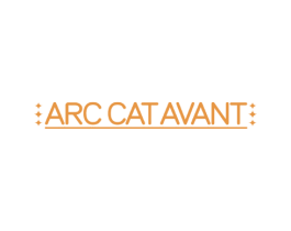 ARC CAT AVANT