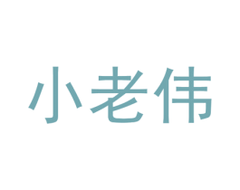 小老伟