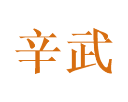 辛武