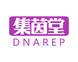 集茵堂 DNAREP