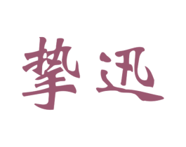 挚迅 第09类科学仪器商标转让 注册号20833084