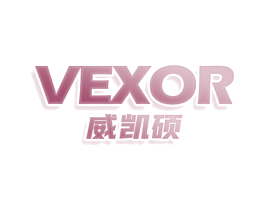 威凯硕 VEXOR