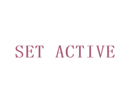 SET ACTIVE