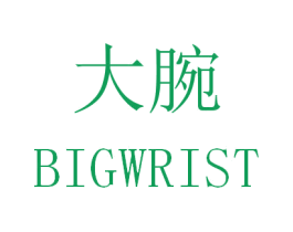 大腕 BIGWRIST