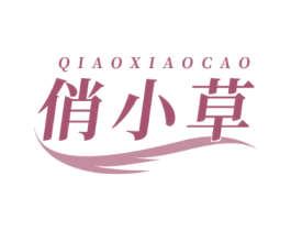 俏小草