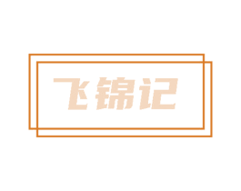飞锦记