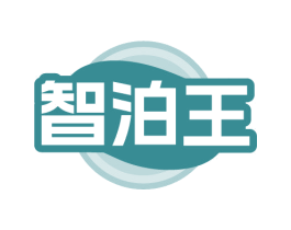智泊王