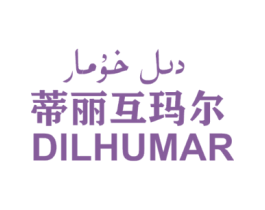 蒂丽互玛尔 DILHUMAR