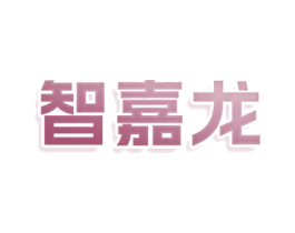 智嘉龙