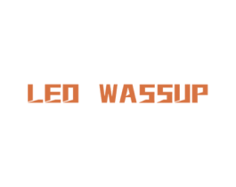 LEO WASSUP