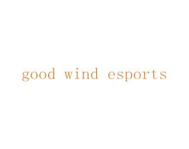 GOOD WIND ESPORTS