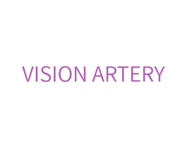 VISION ARTERY