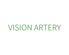 VISION ARTERY
