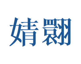 婧翾 第25类服装鞋帽商标转让 注册号41701361