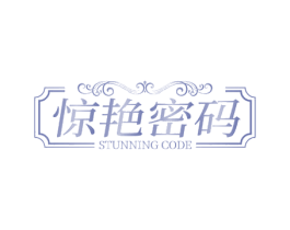 惊艳密码 STUNNING CODE