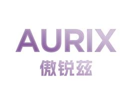 傲锐兹 AURIX