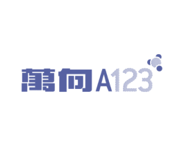 万向A123