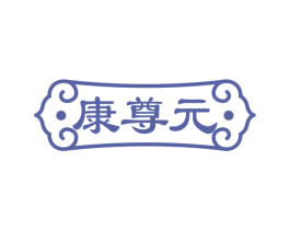康尊元