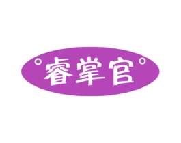睿掌官