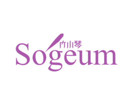 竹小琴  SOGEUM 第05类医药商标转让 注册号43735609