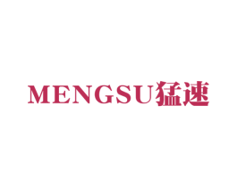 猛速 第09类科学仪器商标转让 注册号40013905