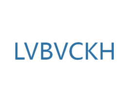 LVBVCKH 第18类皮革箱包商标转让 注册号42787231