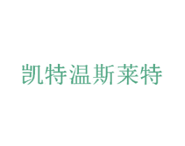 凯特温斯莱特 第18类皮革箱包商标转让 注册号26601657