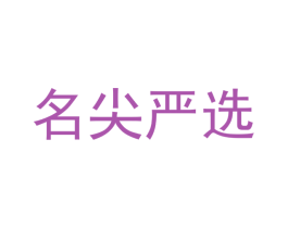 名尖严选