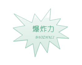 爆炸力 第09类科学仪器商标转让 注册号47054757