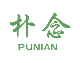 朴念