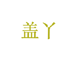 盖丫