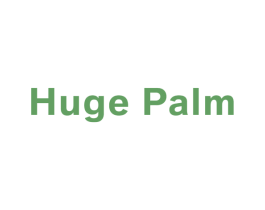 HUGE PALM 第25类服装鞋帽商标转让 注册号36949396