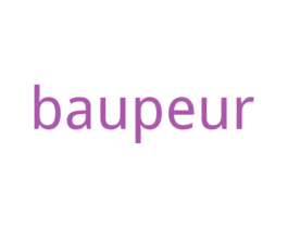 BAUPEUR 第25类服装鞋帽商标转让 注册号46758998