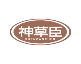 商标效果图